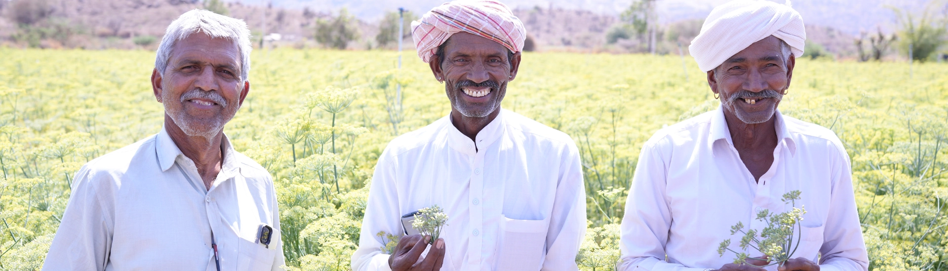 swanispice-research-lead