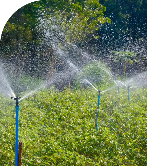 Water Conservation img